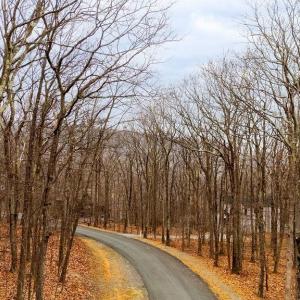 Photo #8 of 23 NORTH ROCK TREE LN, WINTERGREEN RESORT, VA 0.6 acres