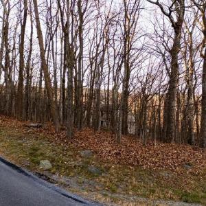 Photo #6 of 23 NORTH ROCK TREE LN, WINTERGREEN RESORT, VA 0.6 acres