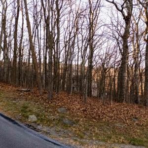 Photo #2 of 23 NORTH ROCK TREE LN, WINTERGREEN RESORT, VA 0.6 acres