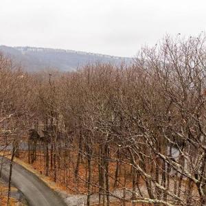 Photo #10 of 23 NORTH ROCK TREE LN, WINTERGREEN RESORT, VA 0.6 acres