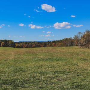 Photo #12 of Lot 13 BRIERY CREEK RD, SCOTTSVILLE, VA 14.4 acres