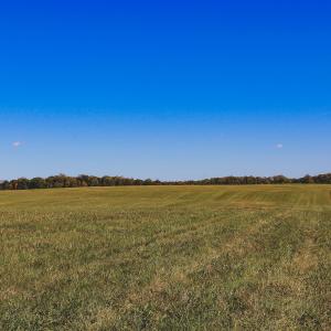 Photo #20 of Lot 13 BRIERY CREEK RD, SCOTTSVILLE, VA 14.4 acres