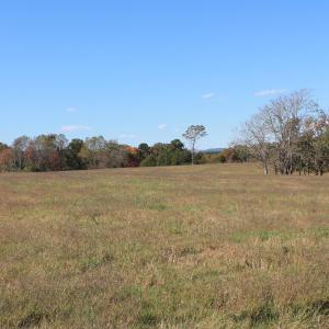 Photo #25 of Lot 13 BRIERY CREEK RD, SCOTTSVILLE, VA 14.4 acres