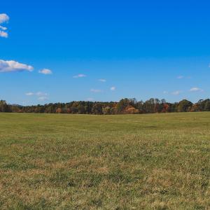 Photo #23 of Lot 13 BRIERY CREEK RD, SCOTTSVILLE, VA 14.4 acres