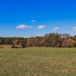 Photo #16 of Lot 13 BRIERY CREEK RD, SCOTTSVILLE, VA 14.4 acres