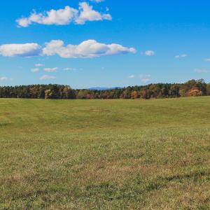Photo #24 of Lot 13 BRIERY CREEK RD, SCOTTSVILLE, VA 14.4 acres