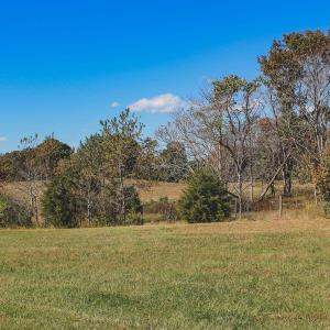 Photo #17 of Lot 13 BRIERY CREEK RD, SCOTTSVILLE, VA 14.4 acres