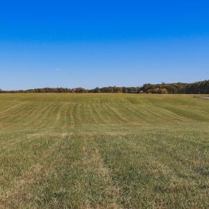 Photo #21 of Lot 13 BRIERY CREEK RD, SCOTTSVILLE, VA 14.4 acres