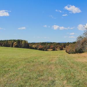 Photo #11 of Lot 13 BRIERY CREEK RD, SCOTTSVILLE, VA 14.4 acres