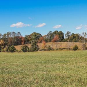 Photo #14 of Lot 13 BRIERY CREEK RD, SCOTTSVILLE, VA 14.4 acres