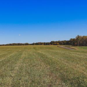 Photo #19 of Lot 13 BRIERY CREEK RD, SCOTTSVILLE, VA 14.4 acres