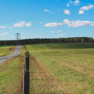 Photo #26 of Lot 13 BRIERY CREEK RD, SCOTTSVILLE, VA 14.4 acres