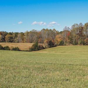 Photo #15 of Lot 13 BRIERY CREEK RD, SCOTTSVILLE, VA 14.4 acres
