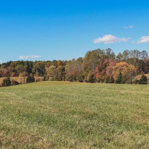 Photo #13 of Lot 13 BRIERY CREEK RD, SCOTTSVILLE, VA 14.4 acres