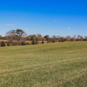 Photo #18 of Lot 13 BRIERY CREEK RD, SCOTTSVILLE, VA 14.4 acres