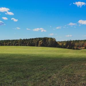 Photo #22 of Lot 13 BRIERY CREEK RD, SCOTTSVILLE, VA 14.4 acres