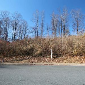 Photo #1 of TBD BARNSDALE RD, CHARLOTTESVILLE, VA 0.7 acres