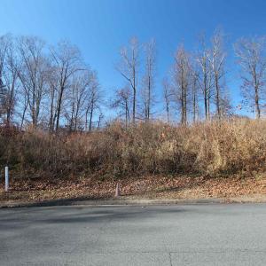 Photo #2 of TBD BARNSDALE RD, CHARLOTTESVILLE, VA 0.7 acres