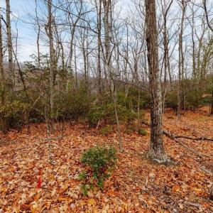 Photo #8 of 63 GUMTREE RD, WINTERGREEN RESORT, VA 0.6 acres