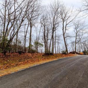 Photo #9 of 63 GUMTREE RD, WINTERGREEN RESORT, VA 0.6 acres