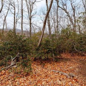 Photo #7 of 63 GUMTREE RD, WINTERGREEN RESORT, VA 0.6 acres