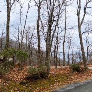 Photo #10 of 63 GUMTREE RD, WINTERGREEN RESORT, VA 0.6 acres