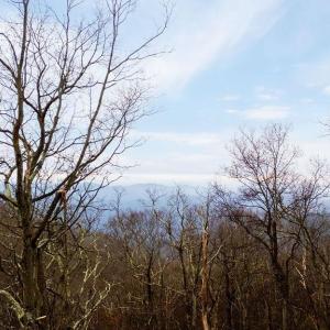 Photo #3 of 63 GUMTREE RD, WINTERGREEN RESORT, VA 0.6 acres