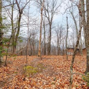 Photo #1 of 63 GUMTREE RD, WINTERGREEN RESORT, VA 0.6 acres