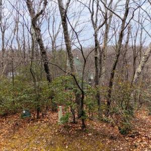 Photo #5 of 63 GUMTREE RD, WINTERGREEN RESORT, VA 0.6 acres