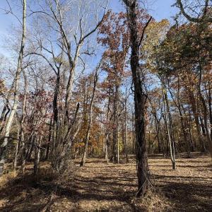 Photo #16 of Parcel F DULWICH DR, AMHERST, VA 5.1 acres