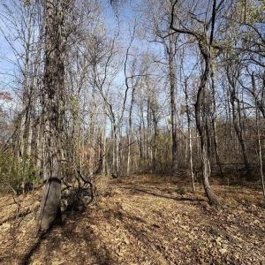 Photo #9 of Parcel F DULWICH DR, AMHERST, VA 5.1 acres