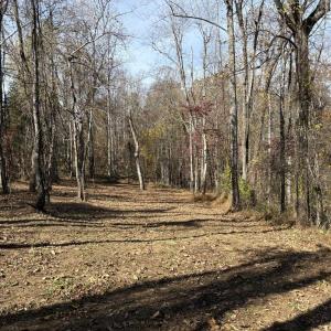 Photo #8 of Parcel F DULWICH DR, AMHERST, VA 5.1 acres