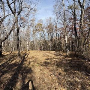 Photo #14 of Parcel F DULWICH DR, AMHERST, VA 5.1 acres