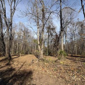 Photo #18 of Parcel F DULWICH DR, AMHERST, VA 5.1 acres