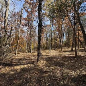 Photo #15 of Parcel F DULWICH DR, AMHERST, VA 5.1 acres