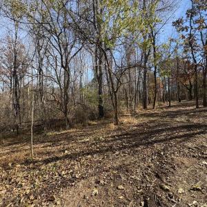 Photo #10 of Parcel F DULWICH DR, AMHERST, VA 5.1 acres