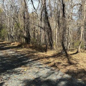 Photo #3 of Parcel F DULWICH DR, AMHERST, VA 5.1 acres