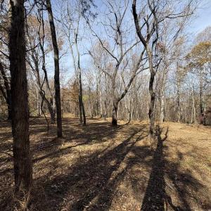 Photo #13 of Parcel F DULWICH DR, AMHERST, VA 5.1 acres
