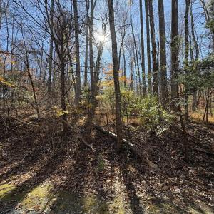 Photo #6 of Parcel F DULWICH DR, AMHERST, VA 5.1 acres