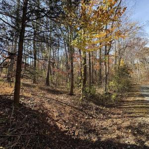 Photo #7 of Parcel F DULWICH DR, AMHERST, VA 5.1 acres