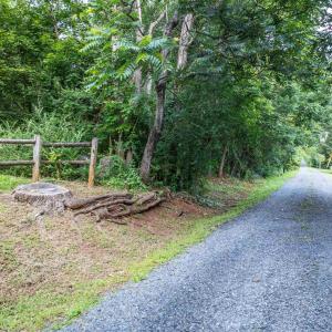 Photo #12 of TBD RIDGE ST, LOVINGSTON, VA 49.3 acres