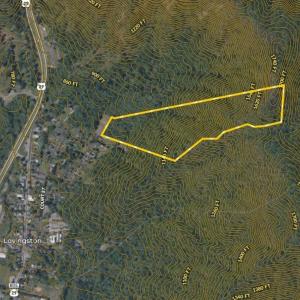 Photo #33 of TBD RIDGE ST, LOVINGSTON, VA 49.3 acres