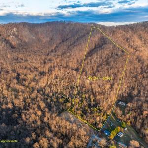 Photo #2 of TBD RIDGE ST, LOVINGSTON, VA 49.3 acres