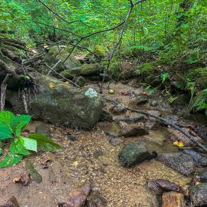 Photo #15 of TBD RIDGE ST, LOVINGSTON, VA 49.3 acres