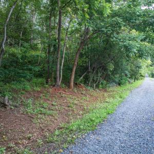 Photo #4 of TBD RIDGE ST, LOVINGSTON, VA 49.3 acres