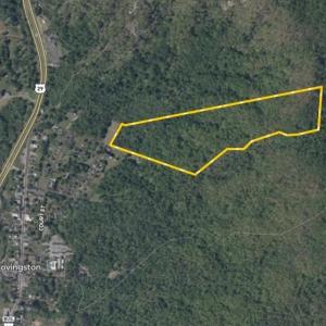 Photo #32 of TBD RIDGE ST, LOVINGSTON, VA 49.3 acres