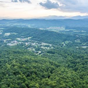 Photo #23 of TBD RIDGE ST, LOVINGSTON, VA 49.3 acres