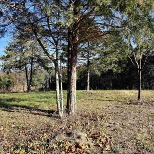 Photo #18 of HARPER VALLEY RD, LURAY, VA 8.2 acres