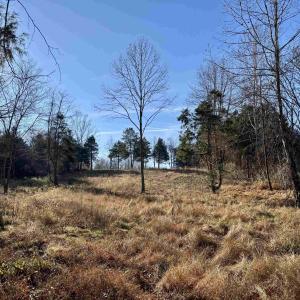 Photo #8 of HARPER VALLEY RD, LURAY, VA 8.2 acres
