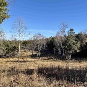 Photo #9 of HARPER VALLEY RD, LURAY, VA 8.2 acres